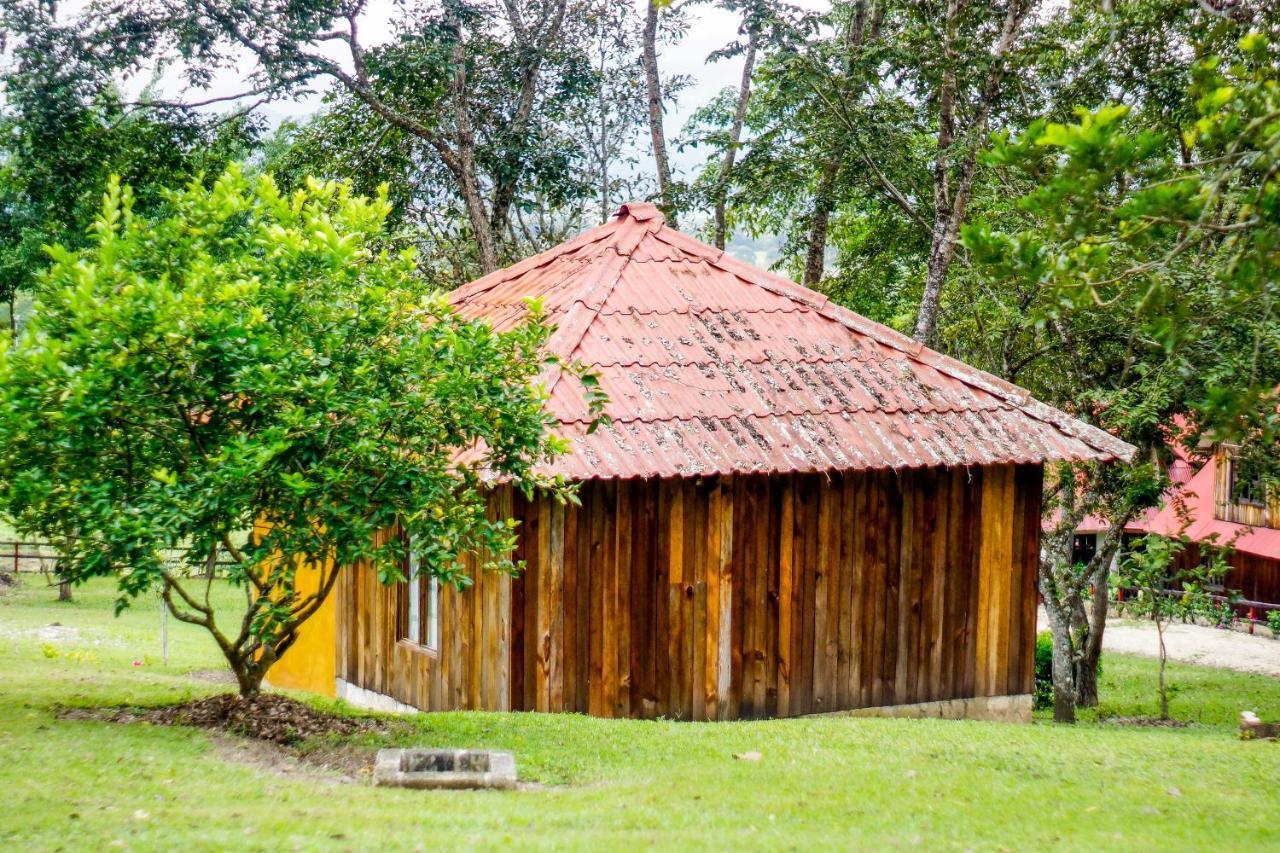 Cabañas Toniná Kayab Ocosingo Exterior foto